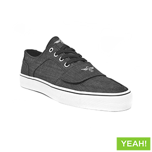 creative recreation cesario lo xvi